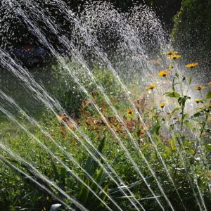 Installer un système d’arrosage automatique et de récupération d’eau de pluie