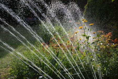 Installer un système d’arrosage automatique et de récupération d’eau de pluie