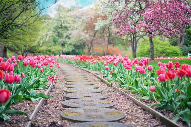 Qui est Deavita ? Présentation du magazine en ligne de jardinage