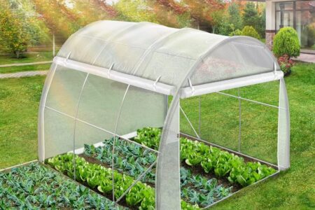Bien choisir ses serres et tunnels de jardin pour la culture des fruits et légumes