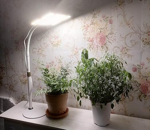 L’impact de l’éclairage artificiel sur la croissance des plantes