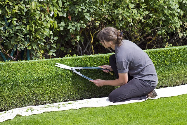 entretenir le jardin de sa copropriété 